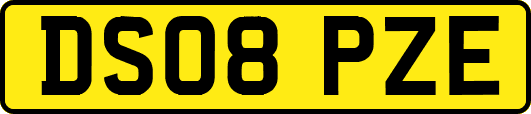 DS08PZE