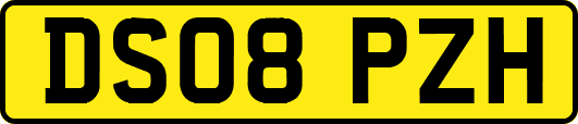DS08PZH
