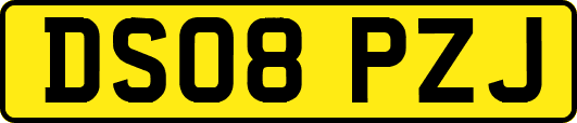DS08PZJ