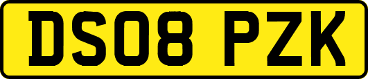 DS08PZK