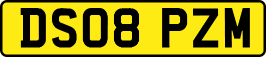 DS08PZM