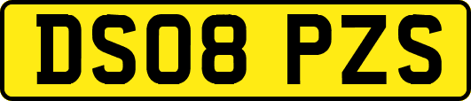 DS08PZS
