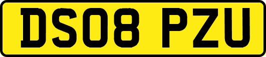 DS08PZU