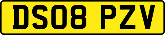 DS08PZV