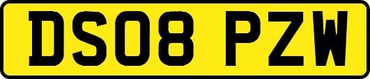 DS08PZW