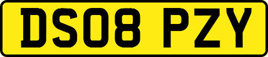 DS08PZY
