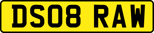 DS08RAW