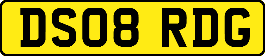 DS08RDG