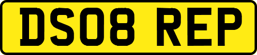 DS08REP