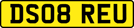 DS08REU