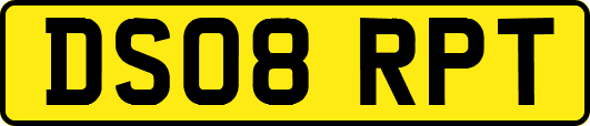 DS08RPT