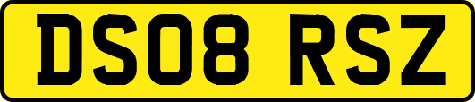 DS08RSZ