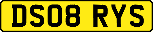 DS08RYS