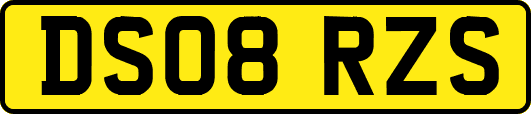 DS08RZS