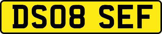 DS08SEF