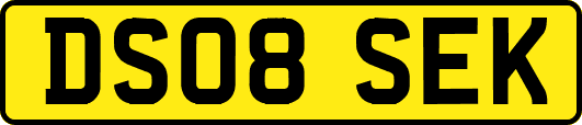 DS08SEK