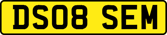DS08SEM