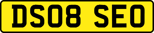 DS08SEO