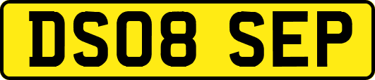 DS08SEP