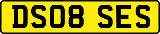 DS08SES