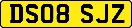 DS08SJZ