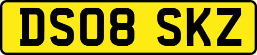 DS08SKZ