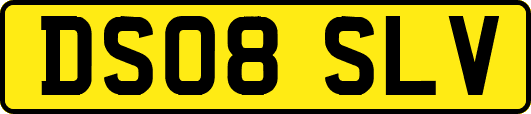 DS08SLV