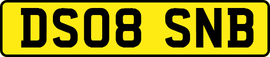 DS08SNB