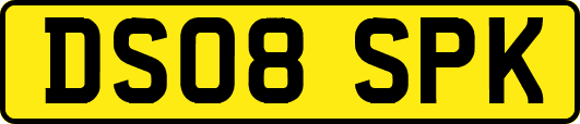 DS08SPK