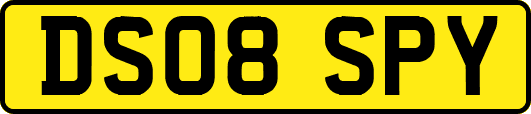 DS08SPY