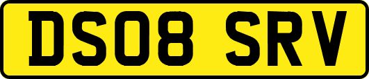 DS08SRV