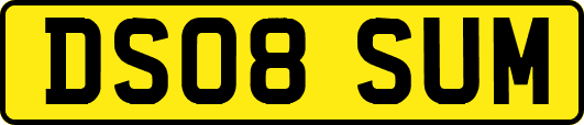 DS08SUM
