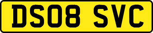 DS08SVC