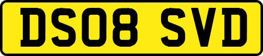 DS08SVD