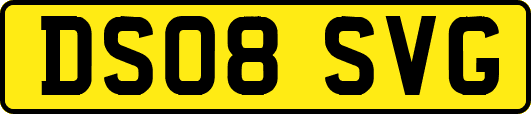DS08SVG