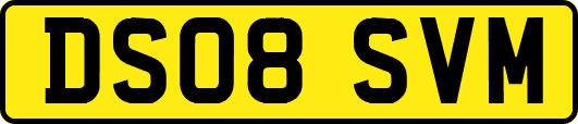 DS08SVM