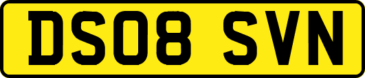 DS08SVN