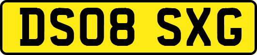 DS08SXG