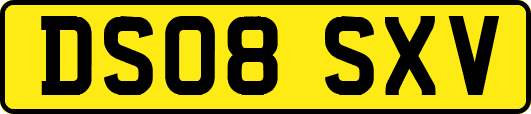 DS08SXV