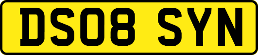 DS08SYN