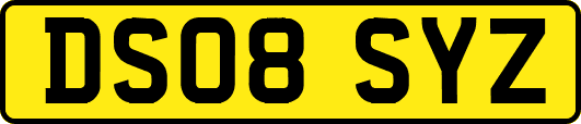 DS08SYZ
