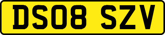 DS08SZV