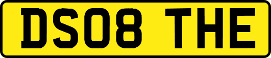 DS08THE