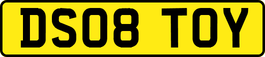 DS08TOY