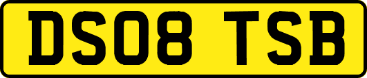 DS08TSB