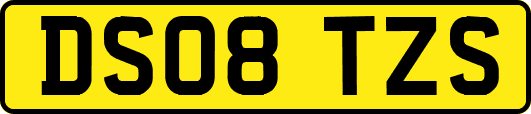 DS08TZS