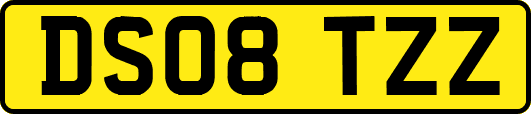 DS08TZZ