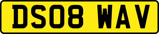 DS08WAV