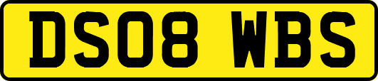 DS08WBS