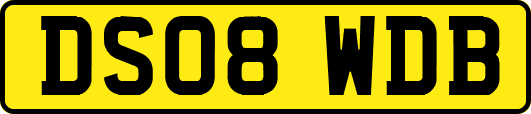 DS08WDB